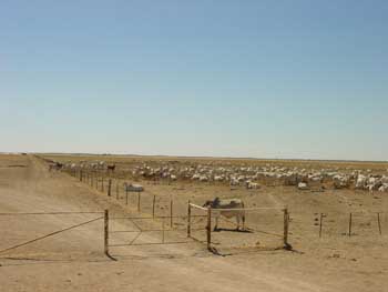 Stations de l'Outback en Australie