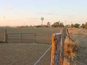 Sheep Station en Australie