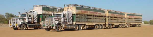 Road Train d'Australie