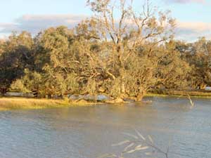 Innondations Outback Australie