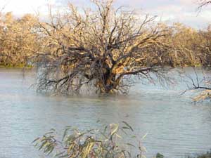 Innondations Outback Australie