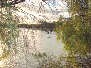 Innondations Outback Australie