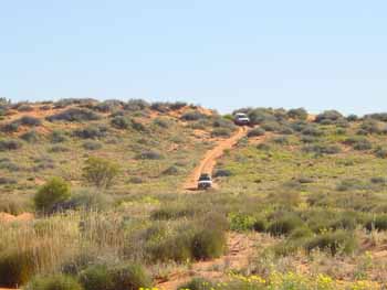 Simpson Desert Nationan Park, Australie