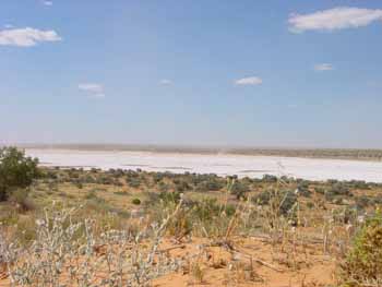Lac avec résurgence de sel dans le  Désert de Simpson, Australie