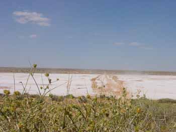 Lac de sel dans le  Désert de Simpson, Australie