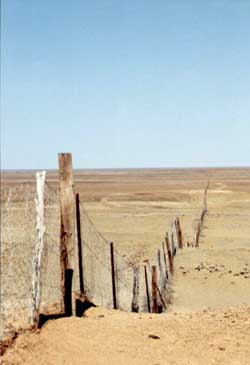 "Dingo ou Dog Fence"en Australie