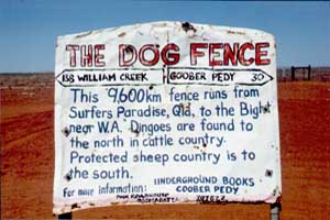 ingo ou Dog Fence en Australie