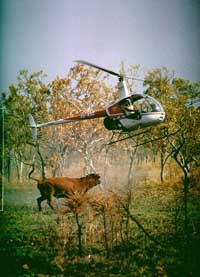 Mustering Australie