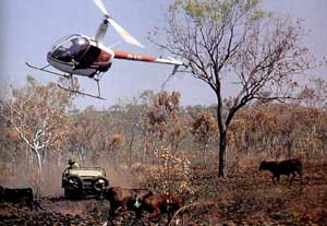 Mustering Australie