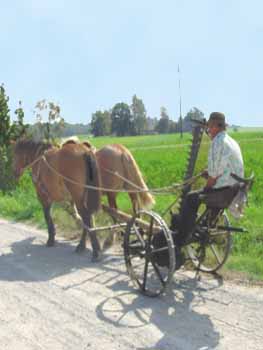 e cheval est toujours présent