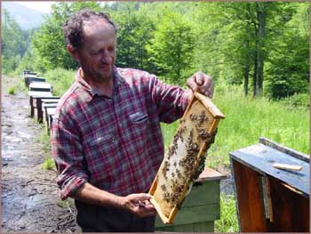 Roumanie - Apiculture