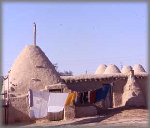 Harran, maisons en pisé