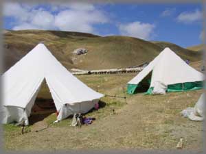 Nomades en été et leur moutons