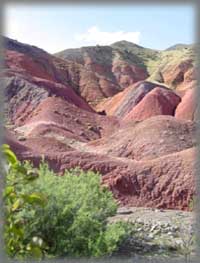 Painted desert !