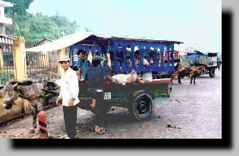 Transport en commun local