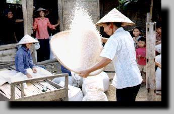 Sparation du riz et du son