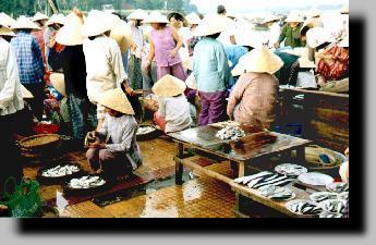 March aux poissons d'Hoi An