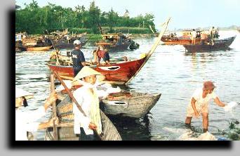 Arrivage de poissons  Hoi an