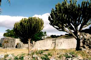 Great Zimbabwe,  Enclosure